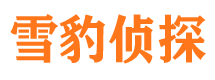 魏都市调查公司